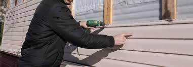 Best Custom Trim and Detailing for Siding  in Patrick Af, FL